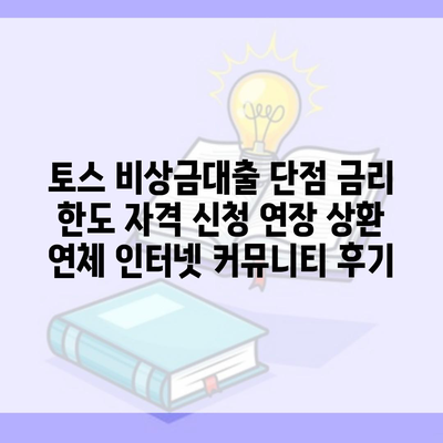 토스 비상금대출 단점 금리 한도 자격 신청 연장 상환 연체 인터넷 커뮤니티 후기