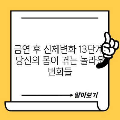 금연 후 신체변화 13단계: 당신의 몸이 겪는 놀라운 변화들