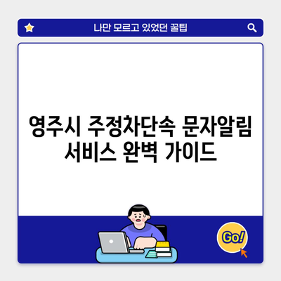 영주시 주정차단속 문자알림 서비스 완벽 가이드