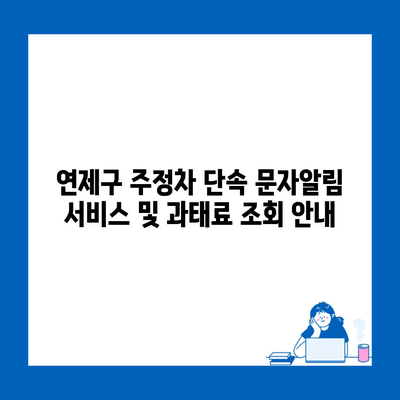 연제구 주정차 단속 문자알림 서비스 및 과태료 조회 안내