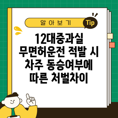 12대중과실 무면허운전 적발 시 차주 동승여부에 따른 처벌차이