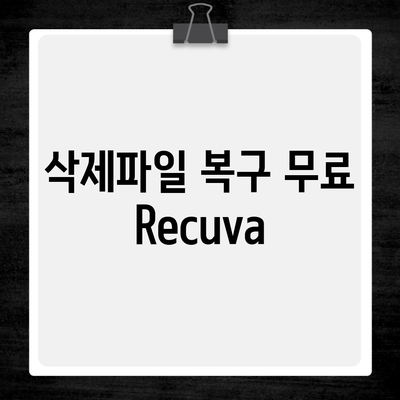 삭제파일 복구 무료 Recuva