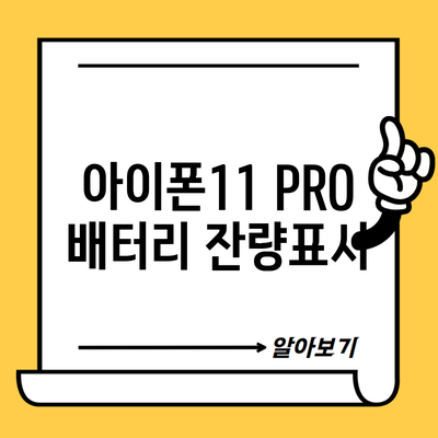 아이폰11 PRO 배터리 잔량표시