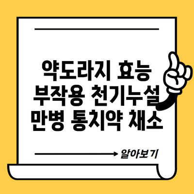 약도라지 효능 부작용 천기누설 만병 통치약 채소