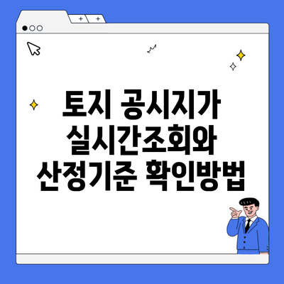 토지 공시지가 실시간조회와 산정기준 확인방법