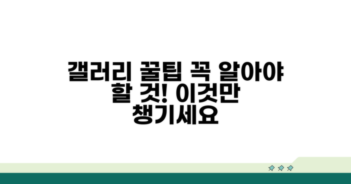 갤러리 이용, 이것만은 꼭 알아두자