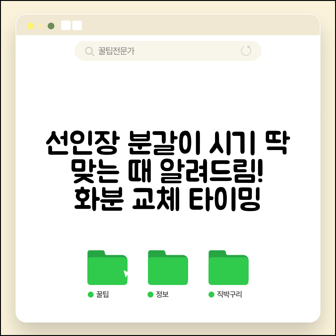선인장 분갈이 시기 언제 하는지 | 선인장 화분 교체 적정 시기