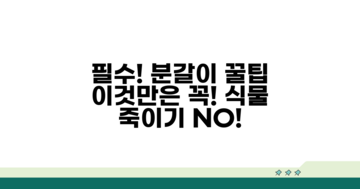 이것만은 꼭! 분갈이 주의사항
