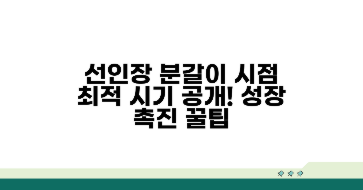 선인장 분갈이, 언제 해야 할까?