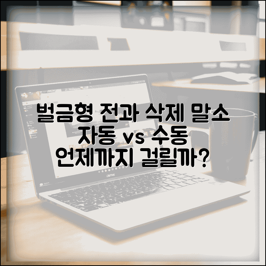 벌금형 전과기록 삭제 방법 | 자동 말소와 수동 삭제 차이, 언제까지 걸릴까?